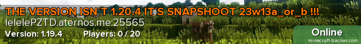 THE VERSION ISN´T 1.20.4 IT´S SNAPSHOOT 23w13a_or_b !!!